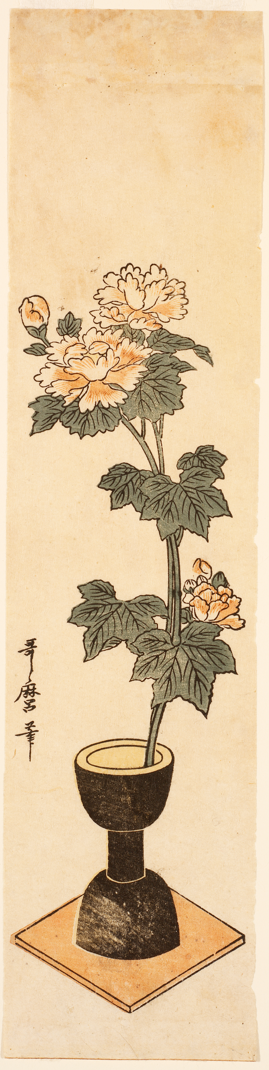 In a tall vertical frame, a blooming plant with white flowers and pointed, dark green leaves grows from a dark vase on a square base.