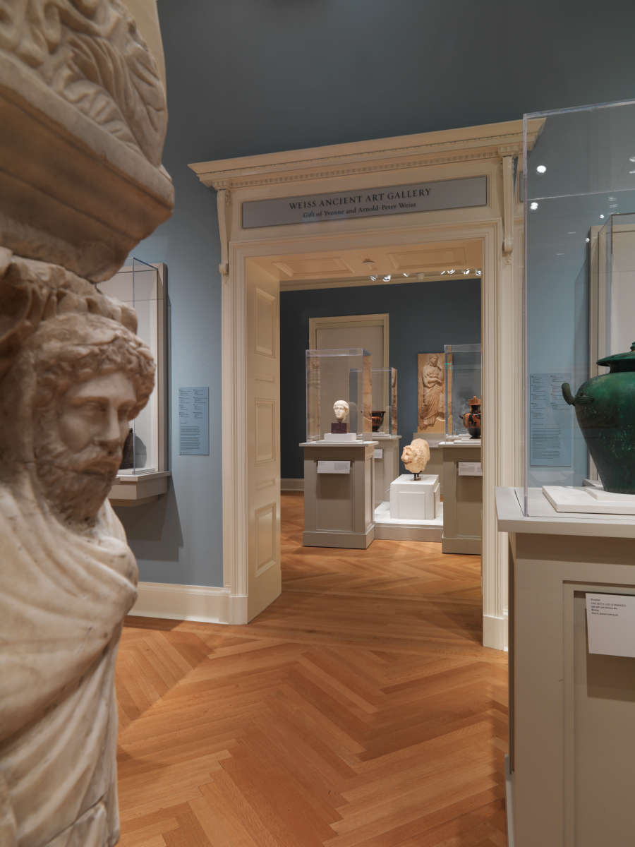 view exhibition image