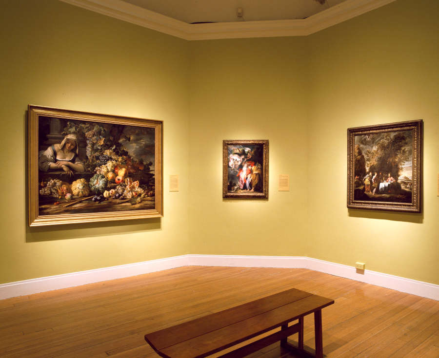 view exhibition image