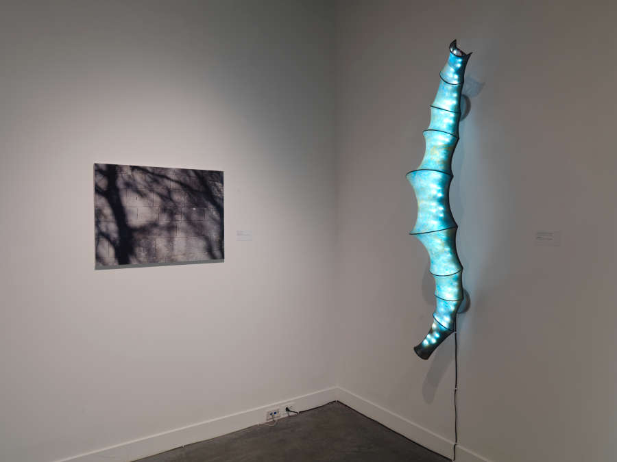 view exhibition image