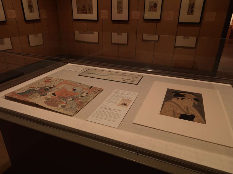 view exhibition image