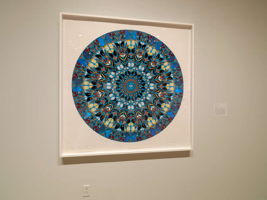 view exhibition image