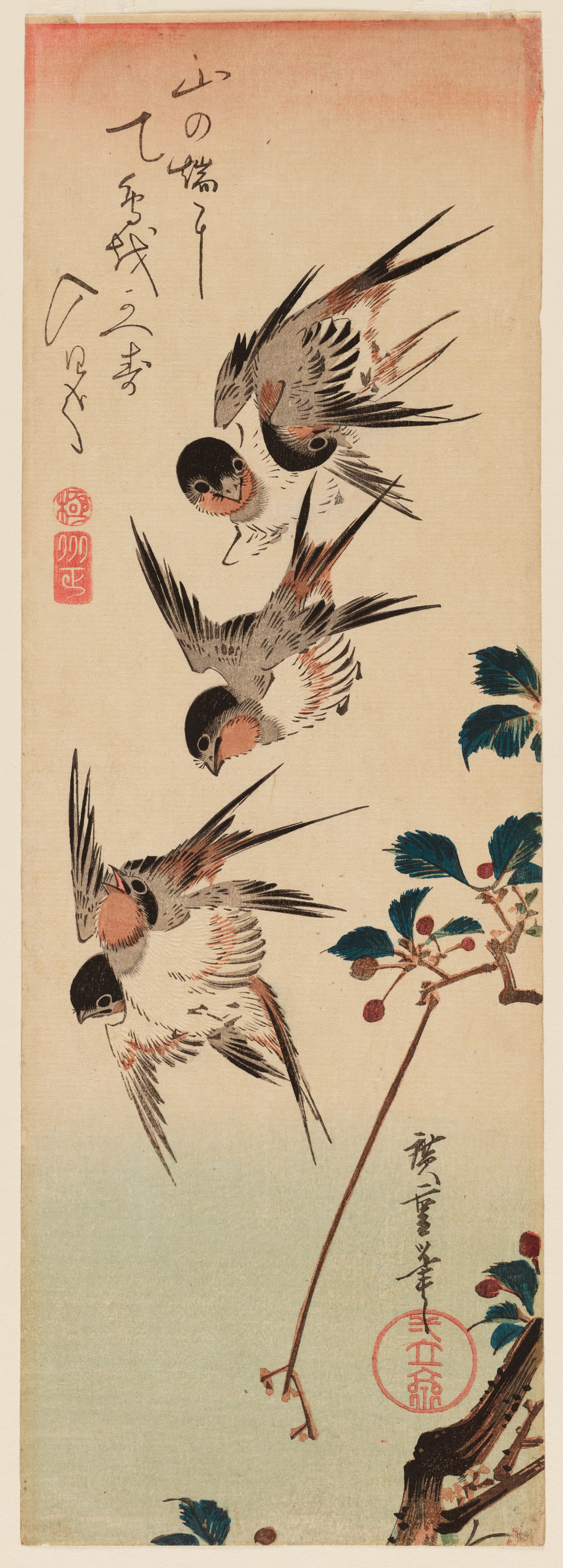 Four small gray and black birds, swooping downwards towards a thin branch with clusters of berries against a pale pink and gray backdrop in a narrow frame.