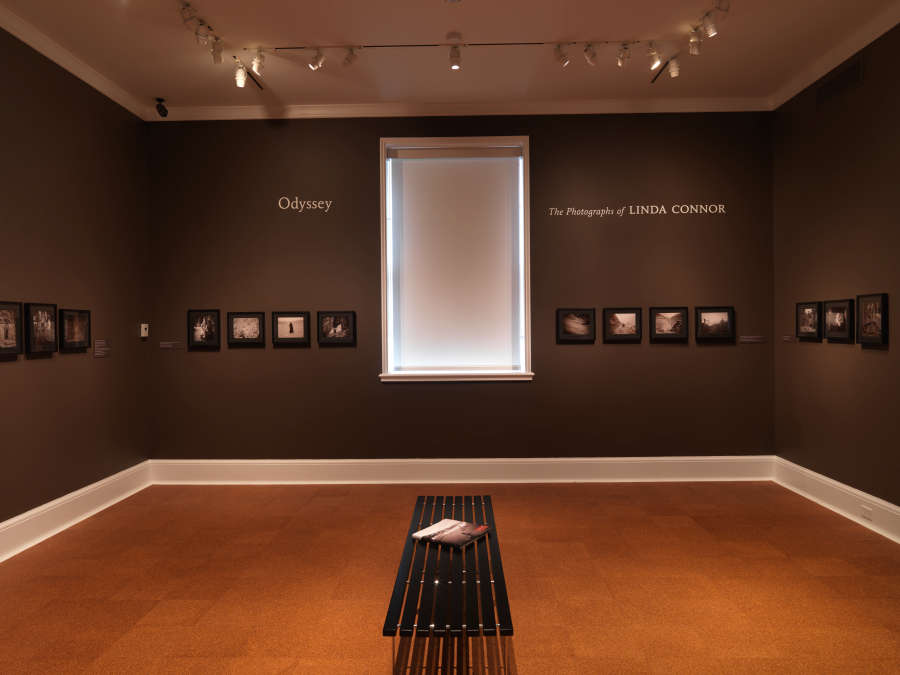 view exhibition image