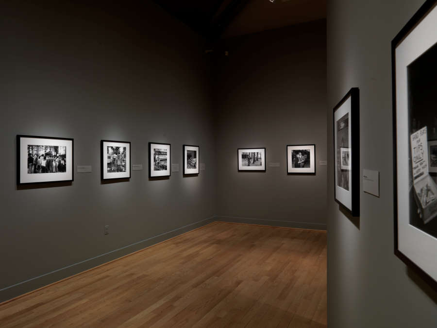 view exhibition image