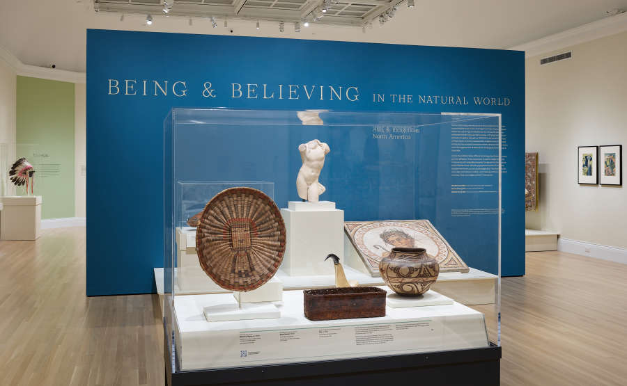 view exhibition image