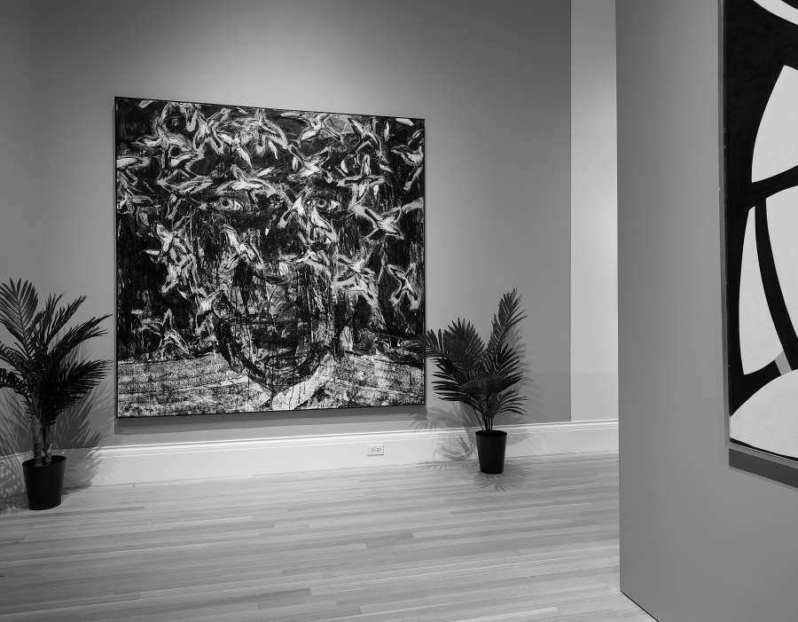 view exhibition image