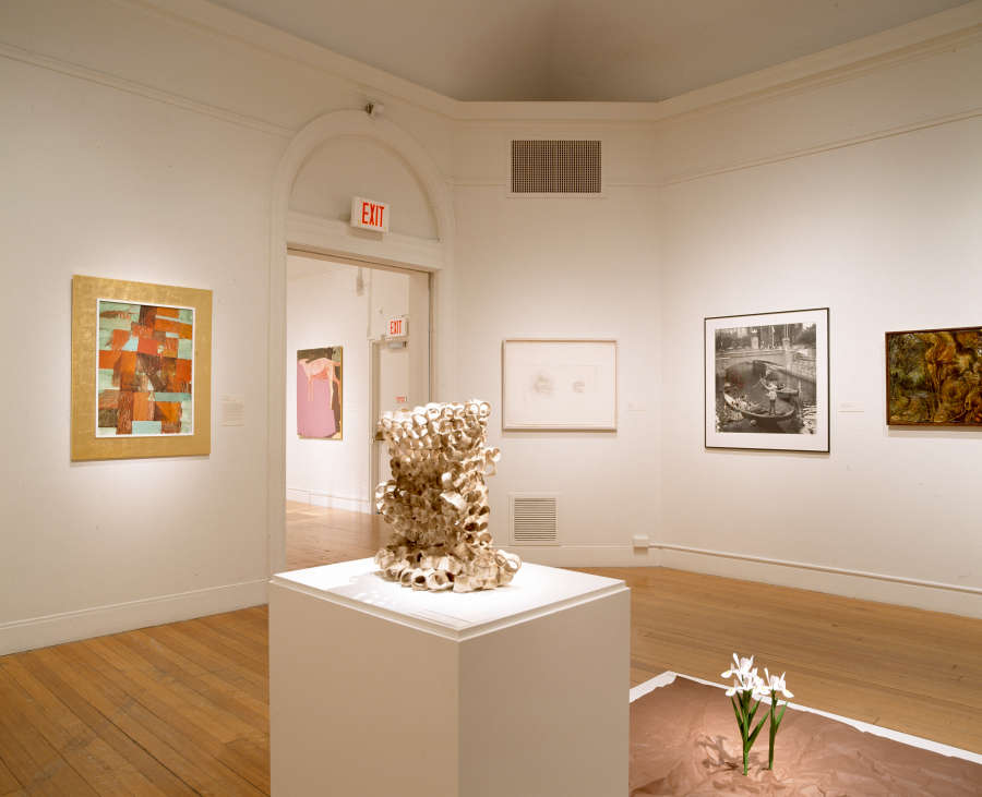 view exhibition image