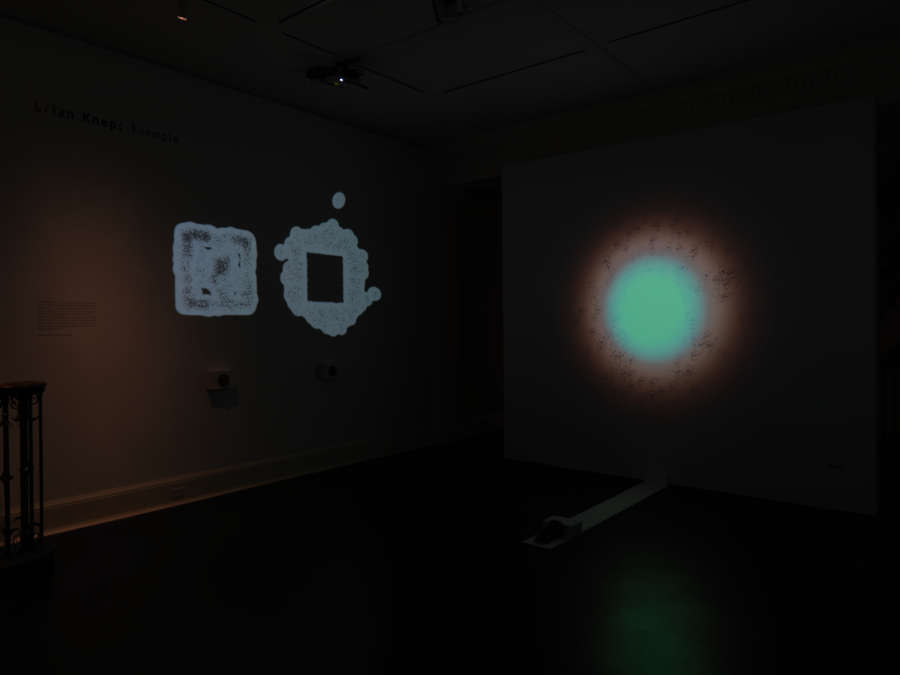 view exhibition image