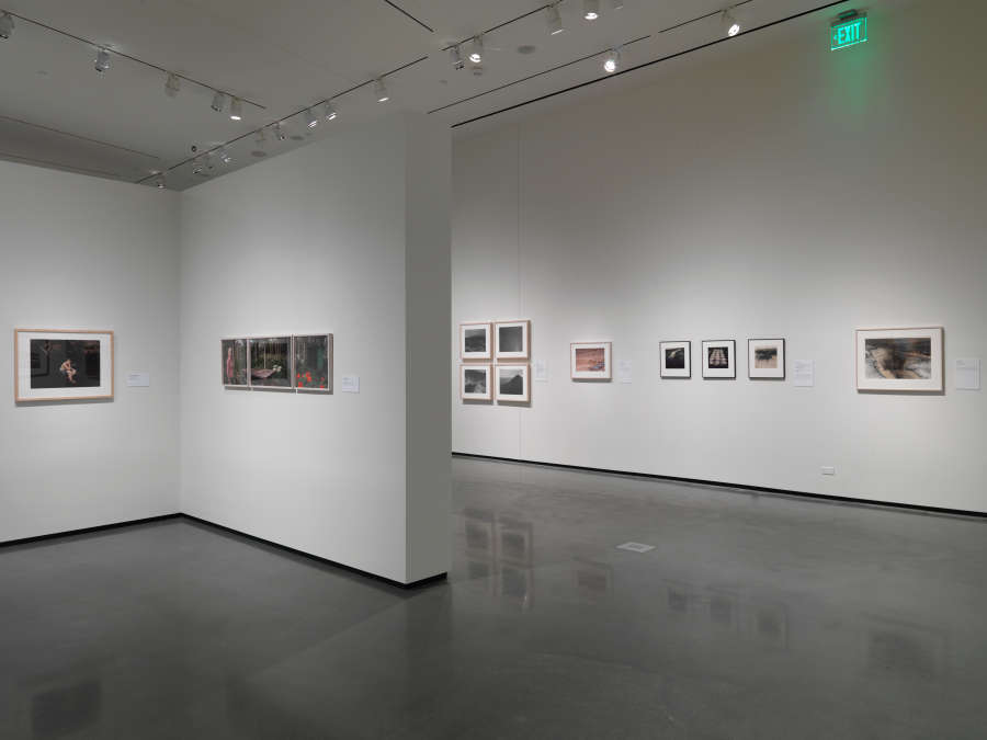 view exhibition image
