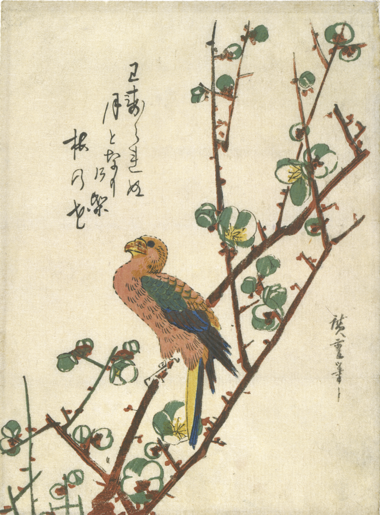 A small brown bird with green and yellow accents perched on a branch of budding white blossoms surrounded by calligraphy on a pale background.