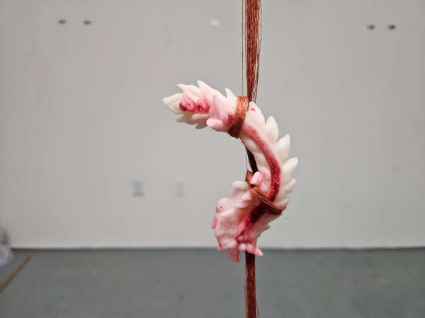 A white clay object, curved and adorned with with Cambodian style ornamentation and a red streak running through it, is wrapped by red silk threads and suspended in the air on a white backdrop.