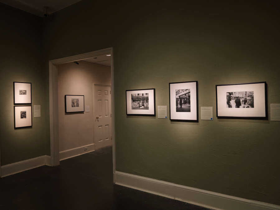 view exhibition image