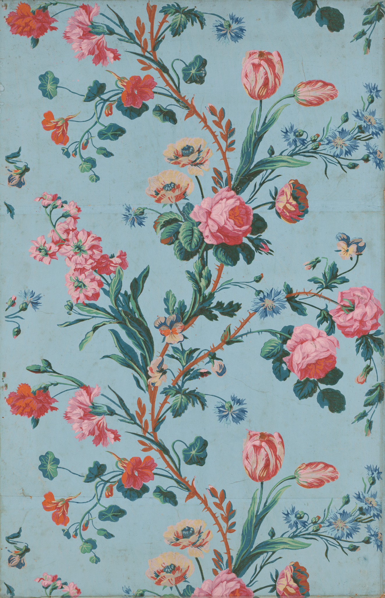 Light blue wallpaper filled with different red, pink and yellow flowers on a singular winding branch. Tiny blue and green flower buds and petals surround the branch.