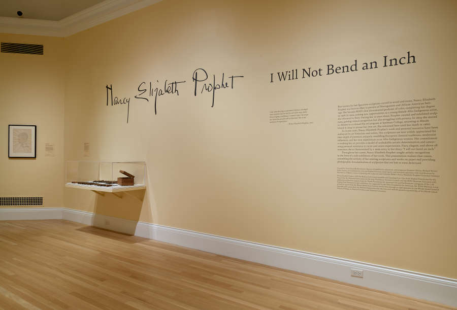 view exhibition image