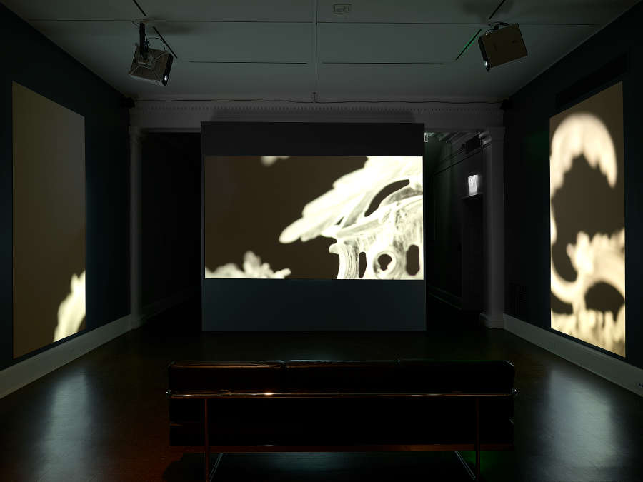 view exhibition image