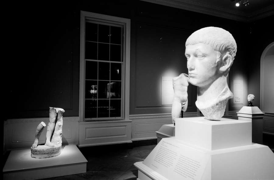 view exhibition image