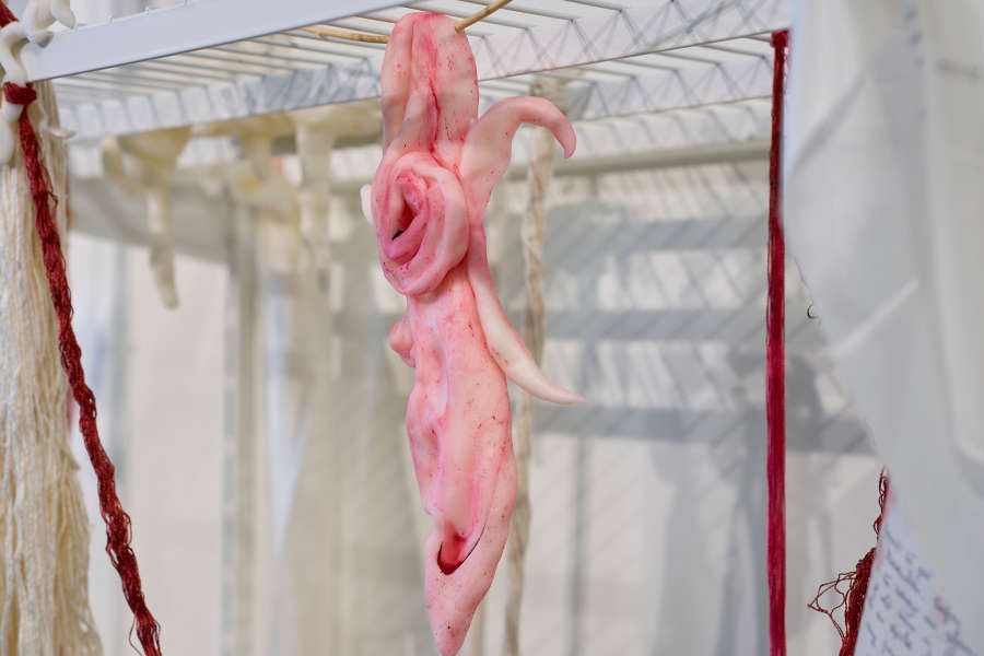 view exhibition image