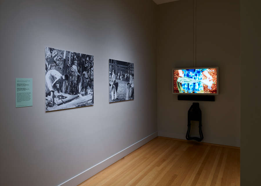 view exhibition image