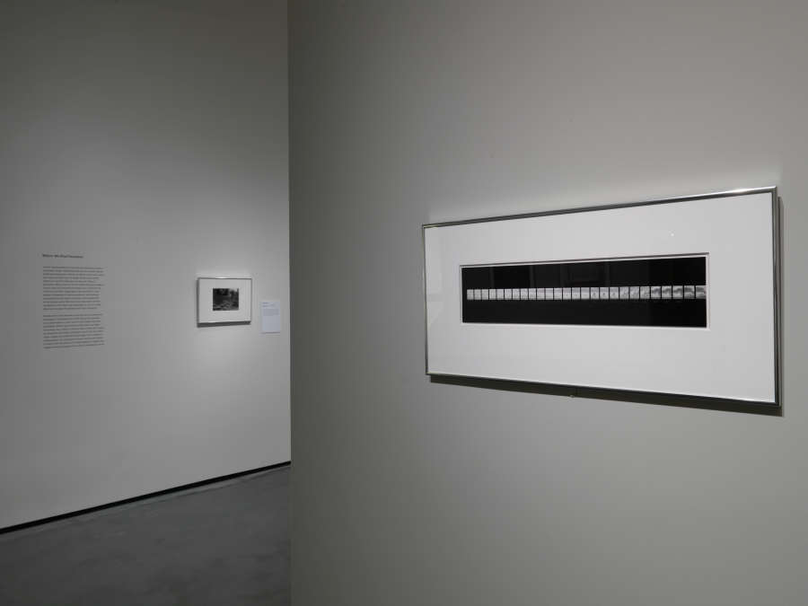 view exhibition image