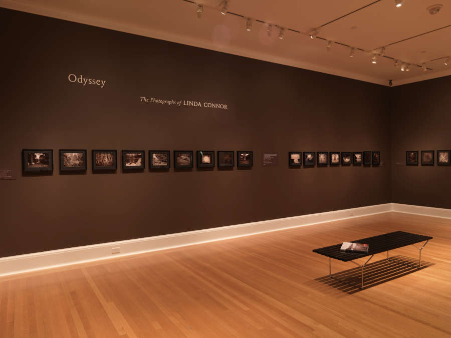 view exhibition image