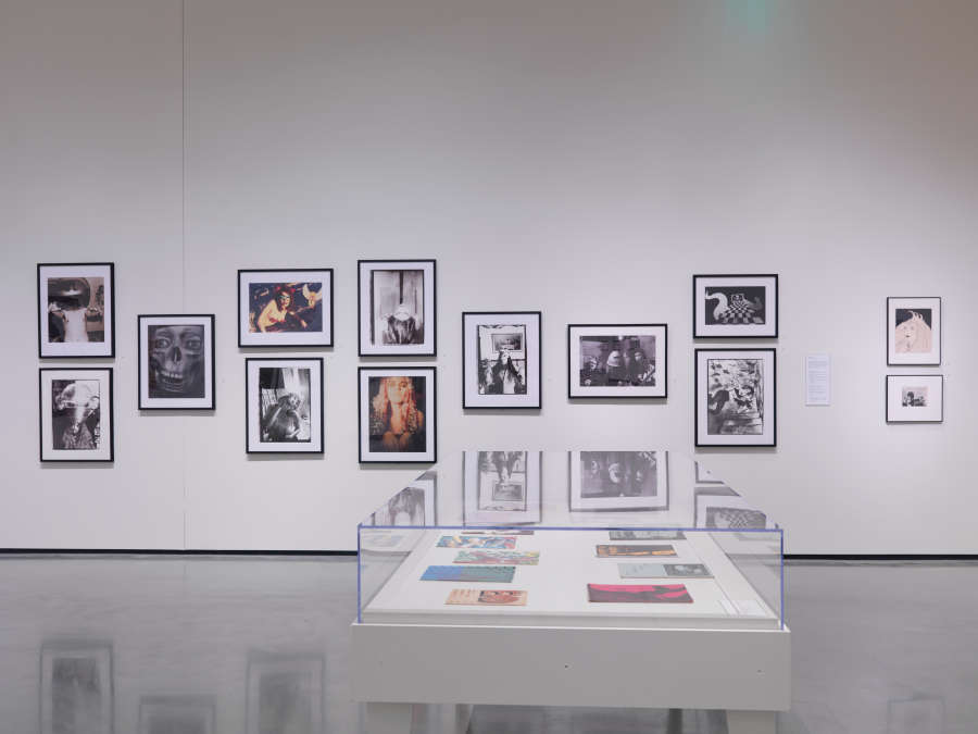 view exhibition image