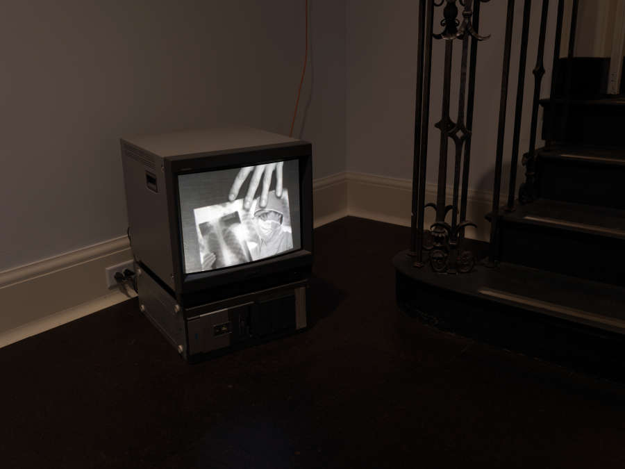 view exhibition image