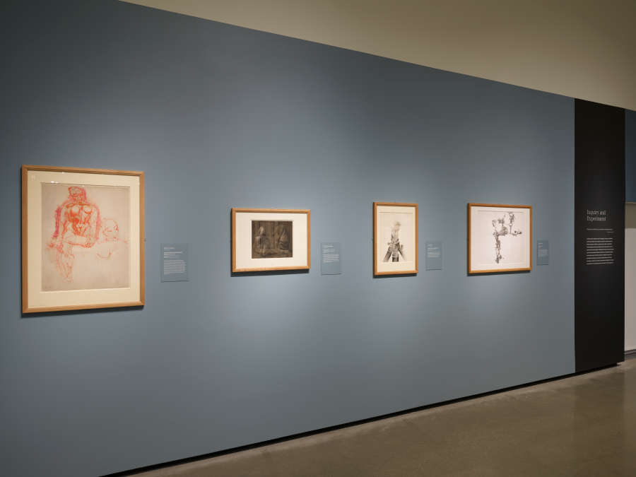 view exhibition image