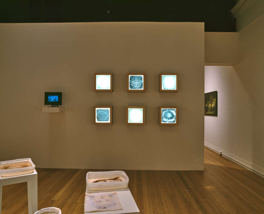 view exhibition image