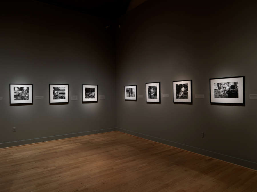 view exhibition image