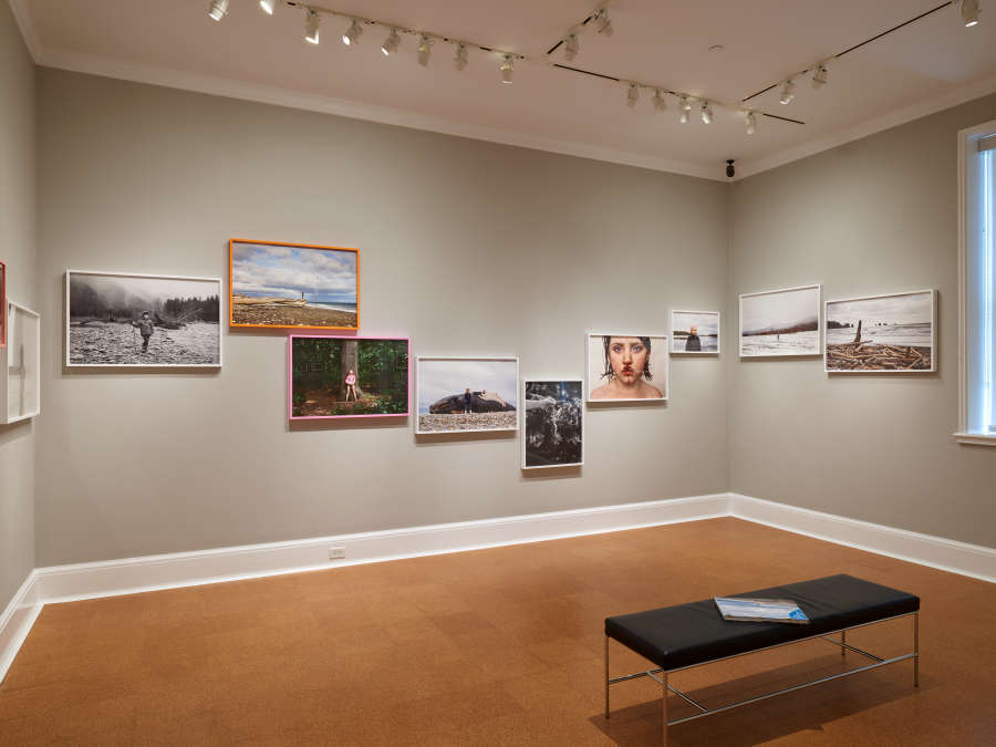 view exhibition image
