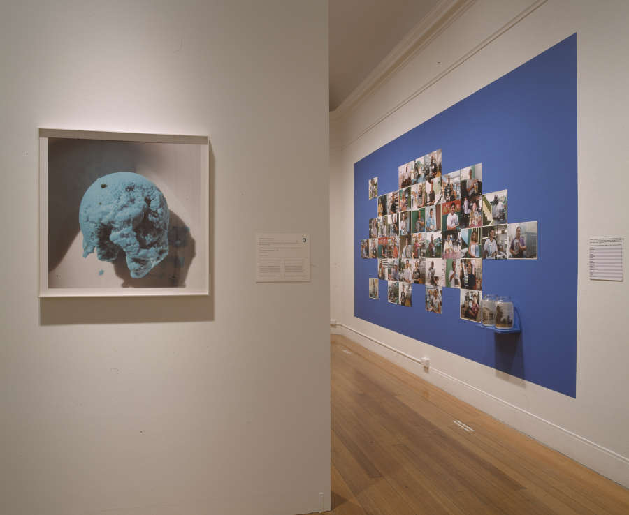 view exhibition image