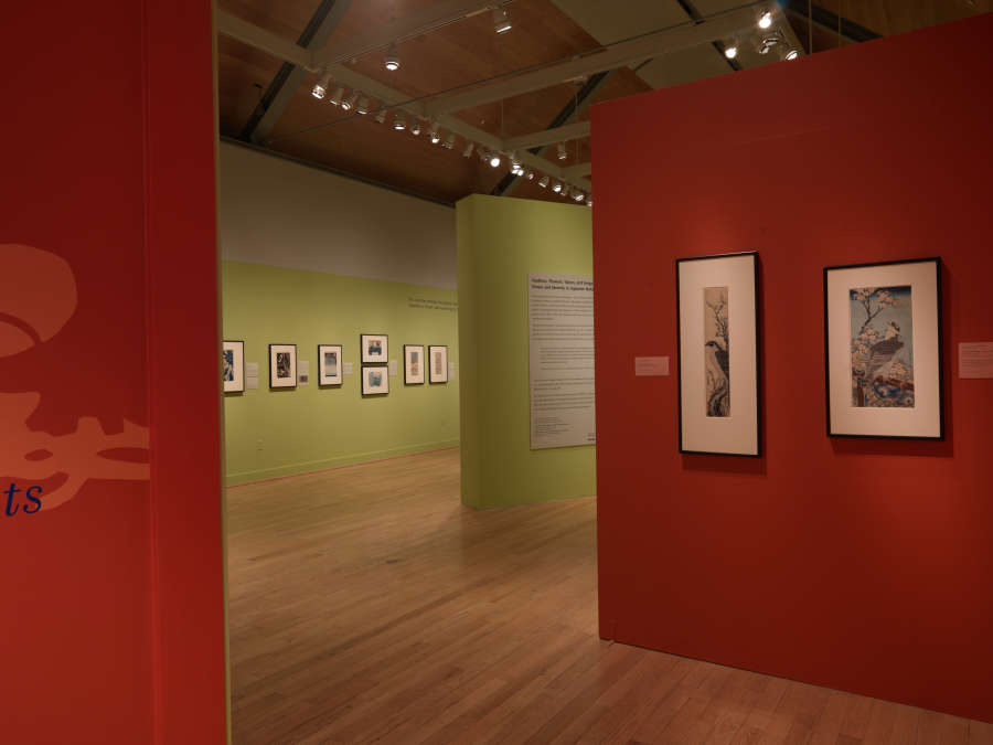 view exhibition image