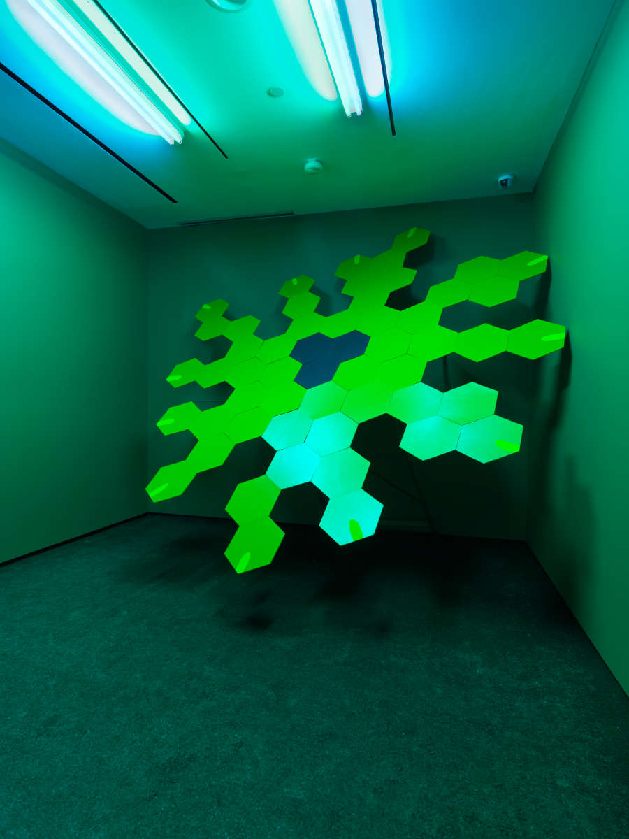 view exhibition image