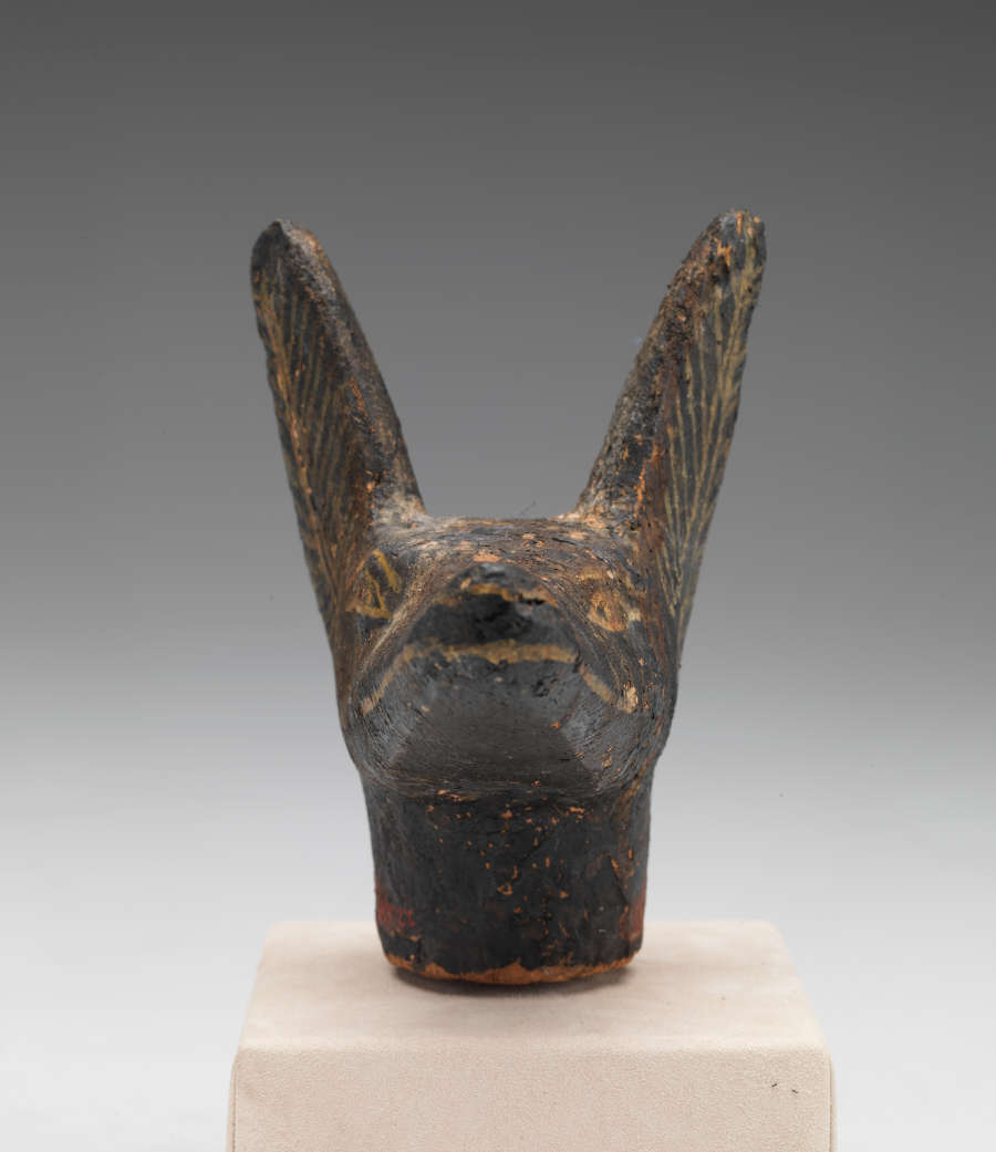Front view of a dark brown sculpture of a jackal’s head. Visible are the etchings forming the eyes and mouth, as well as ridges showing texture on the ears.