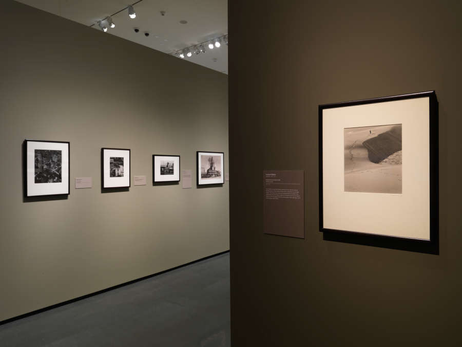 view exhibition image