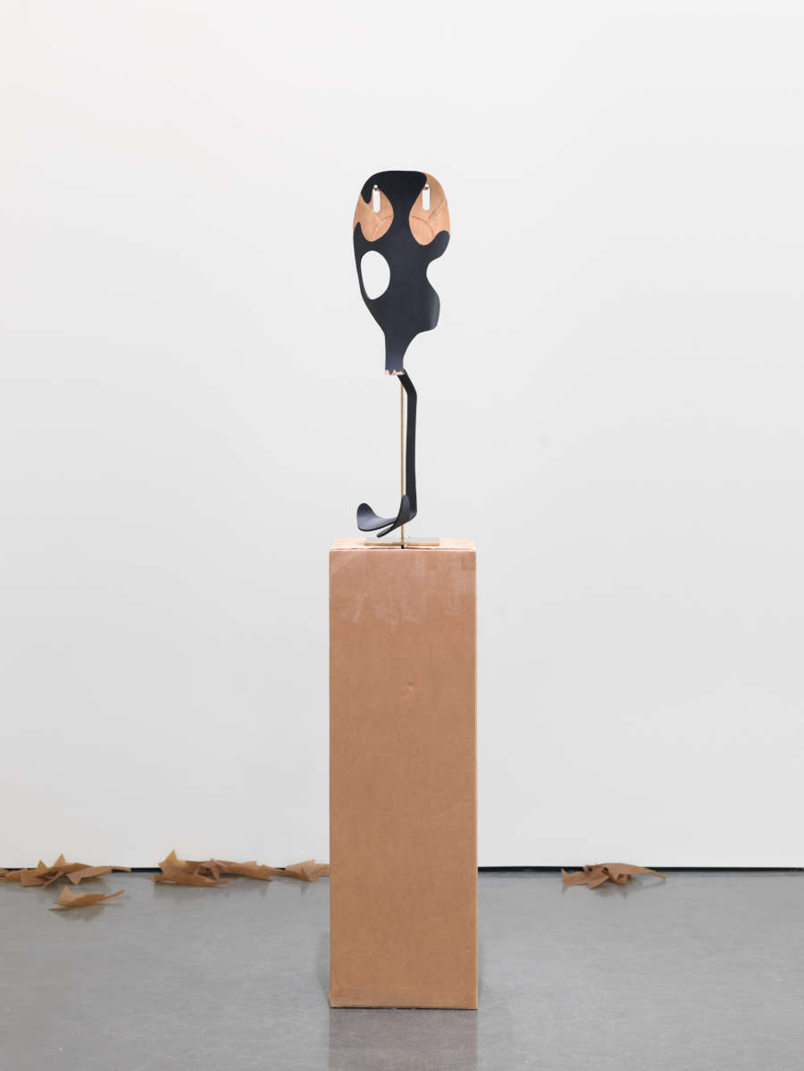 view exhibition image