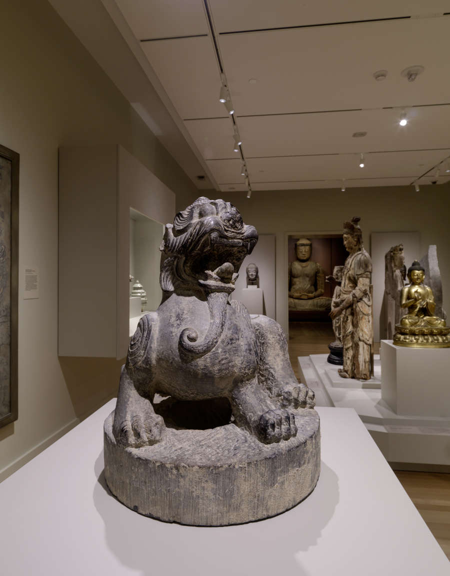 view exhibition image