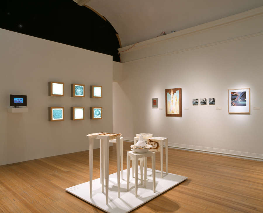 view exhibition image