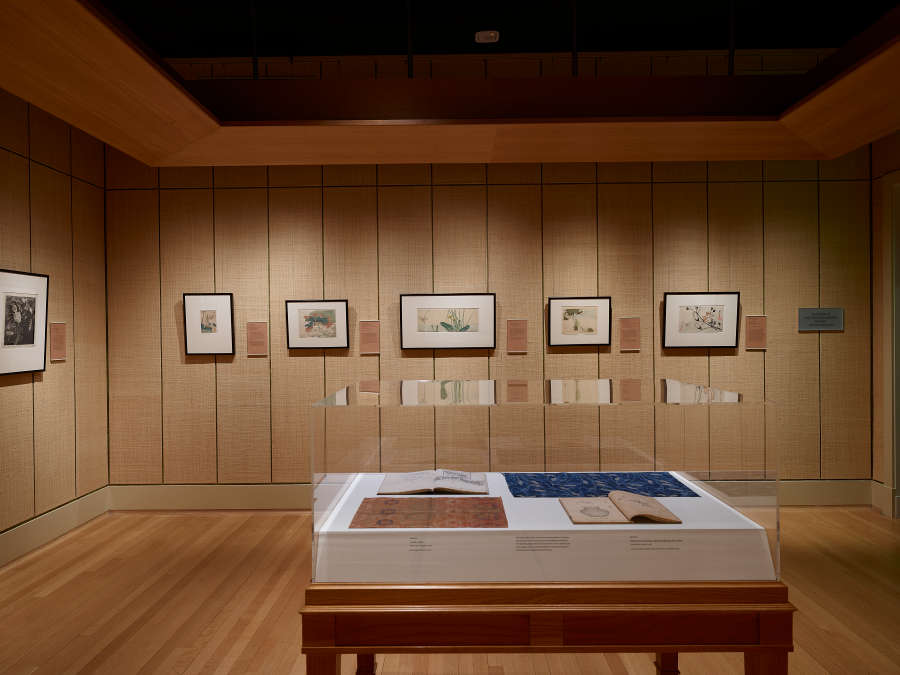 view exhibition image