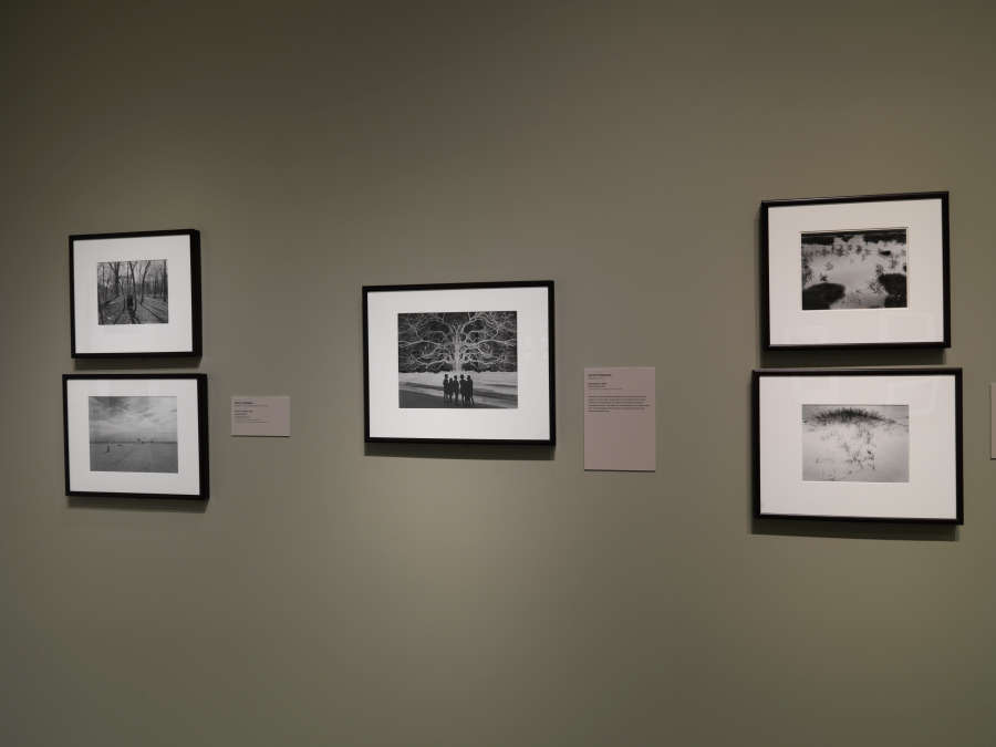 view exhibition image