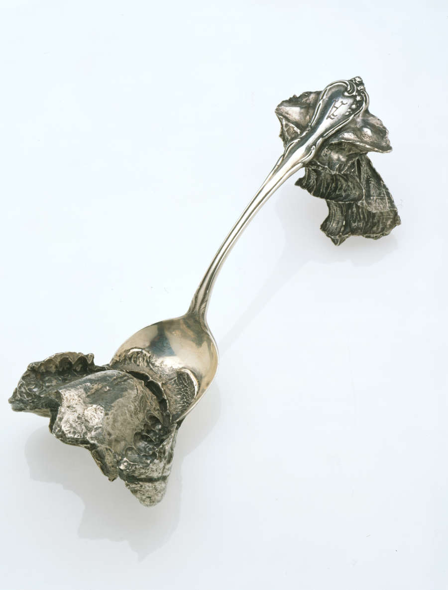 Silver spoon altered roughly at each end. Attached to the bowl is a clump that has been deeply bitten by a human mouth. The handle bears a smaller jagged form.