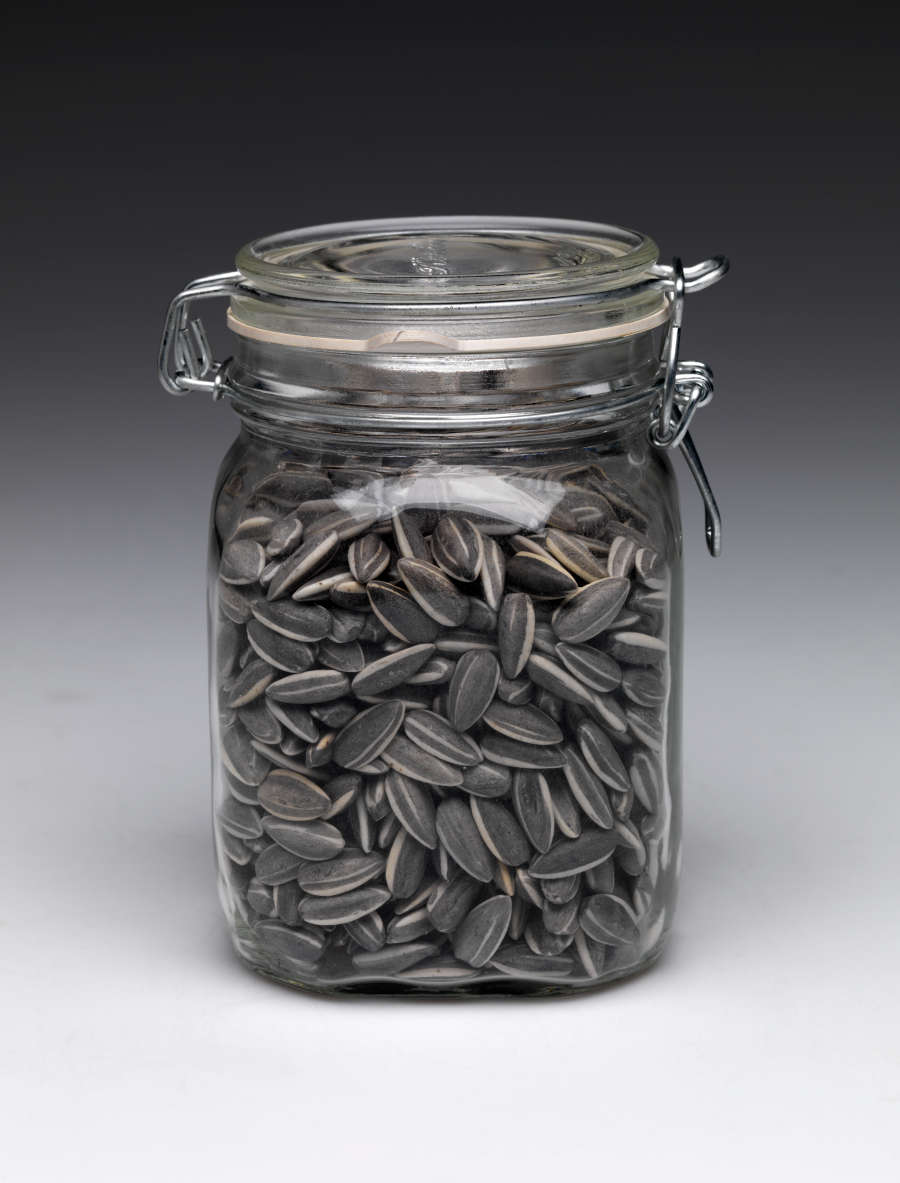 Kui Hua Zi (Sun Flower Seeds) RISD Museum