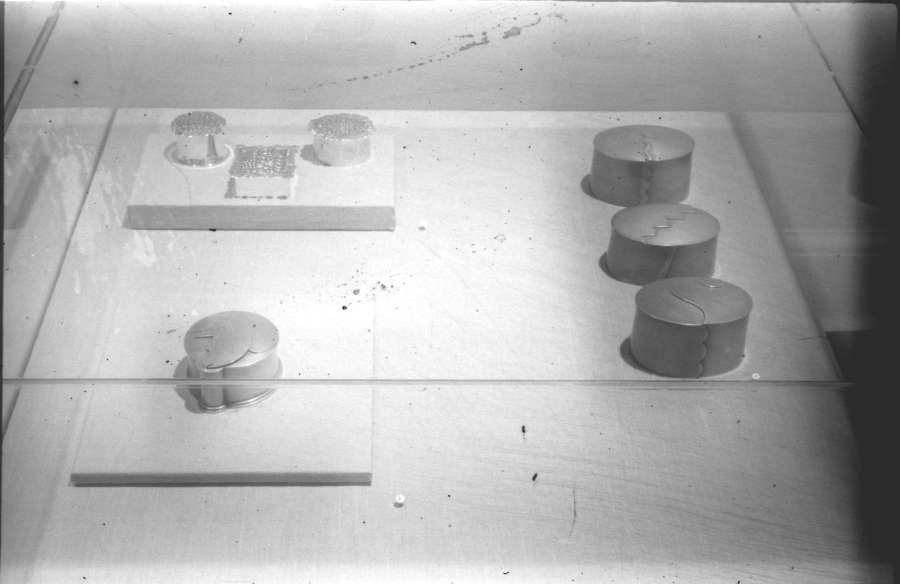 view exhibition image