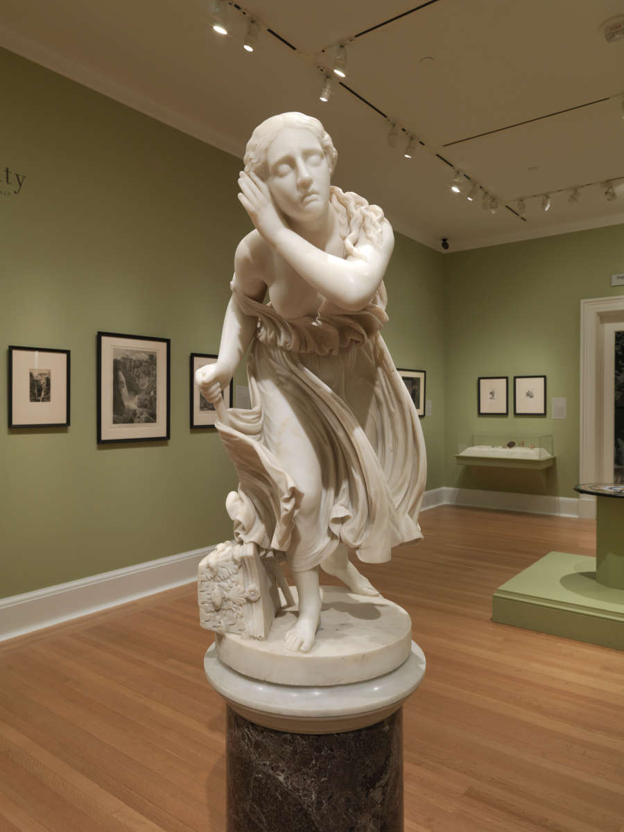 view exhibition image