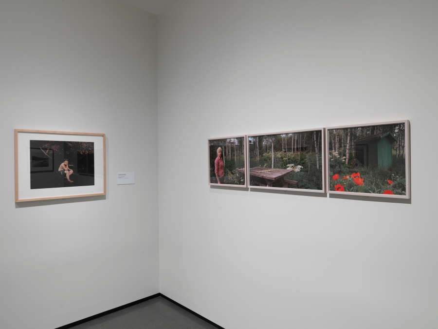 view exhibition image