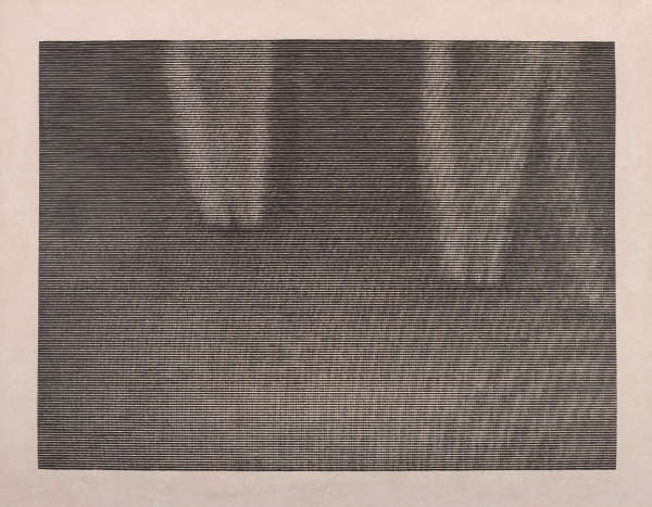 A grayscale image made of horizontal lines, coming together to form a hazy depiction of vertical streaks