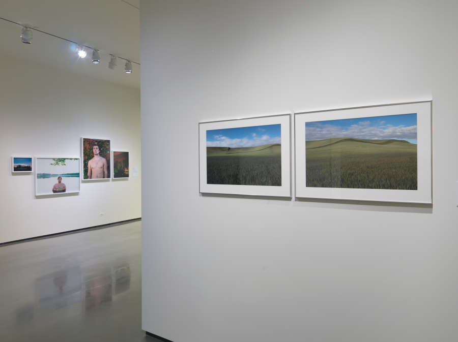 view exhibition image