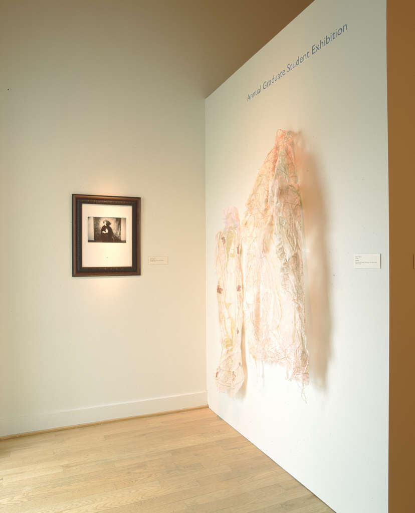 view exhibition image