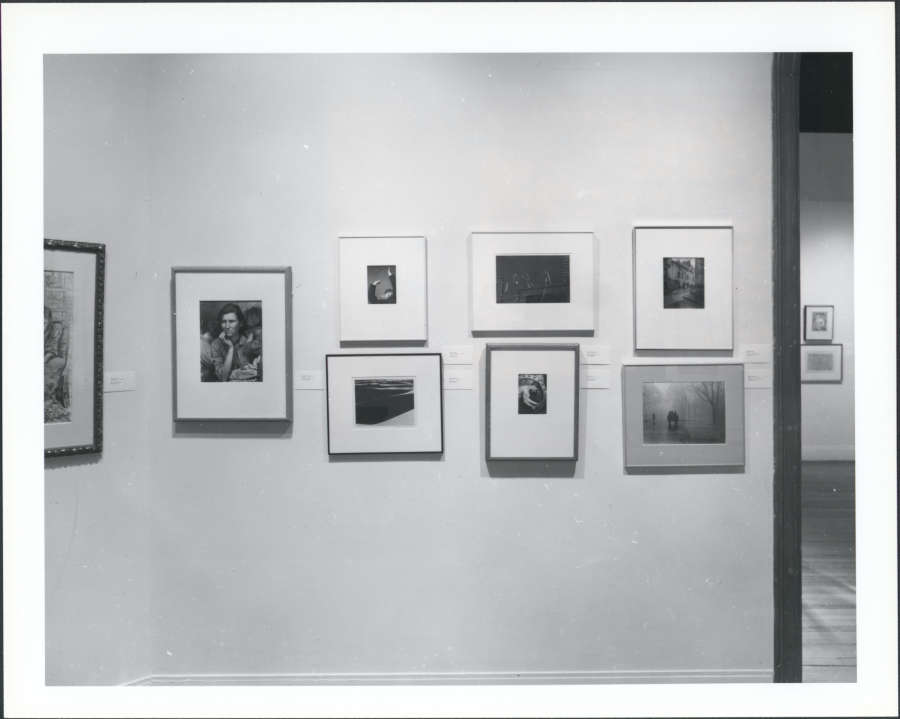 view exhibition image